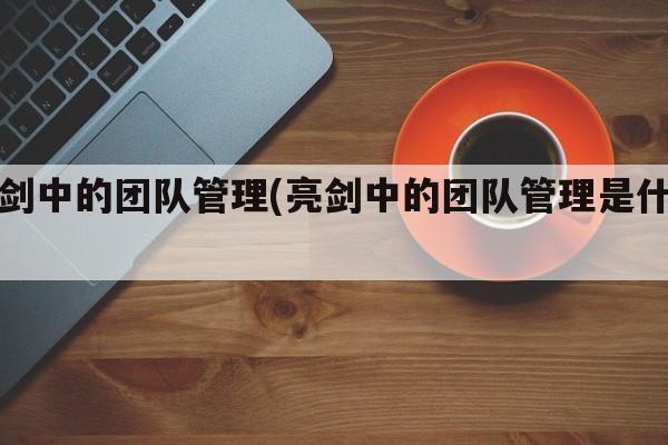 亮剑中的团队管理(亮剑中的团队管理是什么)