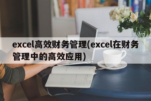 excel高效财务管理(excel在财务管理中的高效应用)